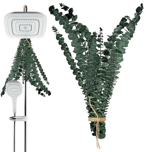 Generisch Dusch Eukalyptus Zum Aufhängen - 10 Stück Echte Getrocknete Eukalyptus Zweige | Eukalyptus Zum Duschen | Natürliches Getrocknetes Eukalyptus-Bündel Für Die Dusche