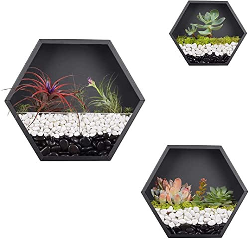Set mit 3 weißen sechseckigen Metall-Glas-Wand-Pflanzgefäßen – moderne Eisen-Terrariumvasen für Luftpflanzen – vertikale Wandmontage, Blumendekor, perfekt für Heimdekoration
