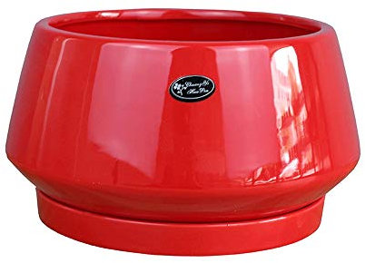 5 Farben Großer Keramik Blumentopf Kreatives Aussehen Blumentopf Fensterbank und Bürotisch Dekoration Pflanzer Hof Utensilien Kaktus Grün Blumentöpfe (Color : Red)