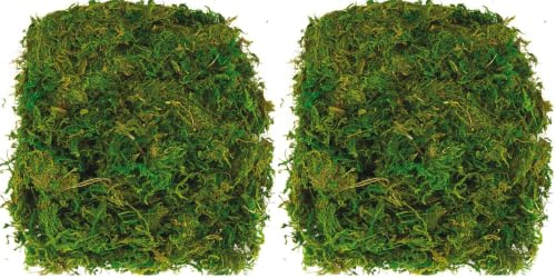 Baker Ross AV898 Dried Moss (Pack of 200G),Green, NA