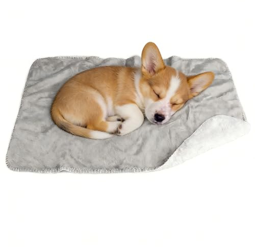 Pawsee Wasserdicht Hundedecke Katzendecke mit Pfotenabdruck, Waschbar Fleece Sherpa Hundehandtuch für Couch Bett Outdoor, wasserdichte Tagesdecke Bettschutz Sofa Überwurf Sofabezug, 75 x 50 cm, Grey