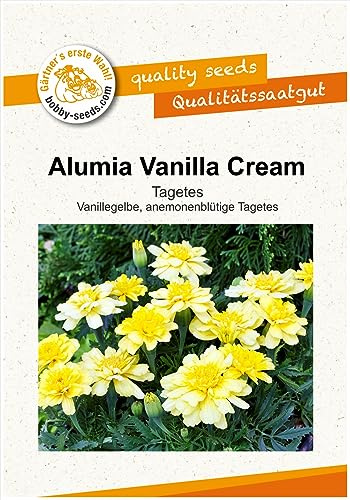 Blumensamen Alumia Vanilla Cream, Tagetes Portion