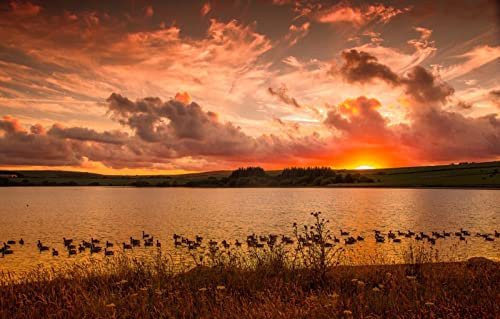 LHJOYSP 3D Puzzle Allianz Arena 1000 Teile,Naturlandschaft,Sonnenuntergang,See,Enten,75x50cm