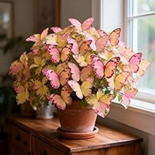 Winterharte Funkie Hosta, Schattenstaude für Den Garten, Pflegeleicht und Robust-4 Staude-h