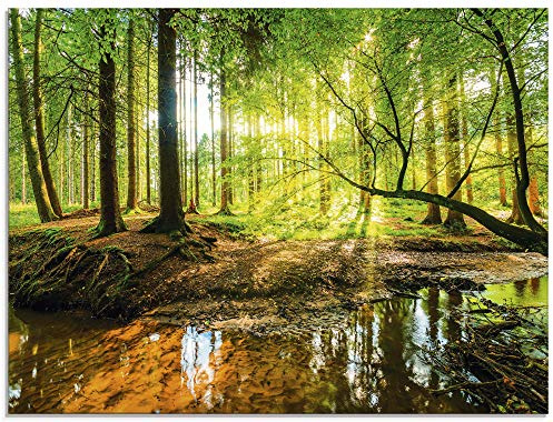 ARTland Wanddeko Glasbilder Wandbild Glas Bild einteilig 80x60 cm Querformat Wald Natur Landschaft Bäume Bach Sonne Frühling T9IO