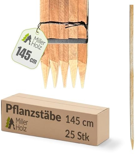 Holzpfähle Holzpflöcke Pflanzstäbe quadratisch mit vierkant Spitze 25 Stück | Eukalyptus | Holzpfähle für Markierungen | Rankstab für Pflanzen, Holzpfosten zur Abgrenzung - Stärke 2,2x2,2cm (145)