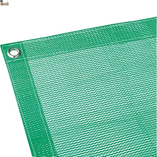 BricoLoco.com Filet de protection multi-usages, protection balcon, anti-oiseaux, anti-pigeons, anti-crevettes, jardin, fruitiers, couvertures, filet de serre (10 x 10 mètres)