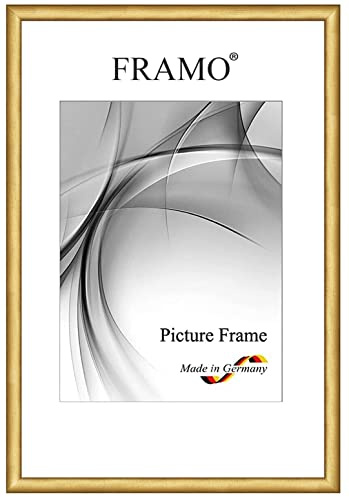 FRAMO Holz Bilderrahmen Schmal 33 x 45 cm aus Massivholz | Gold | Farbe/Größe wählbar | Rahmen für Poster | Puzzle | Foto collage N°081