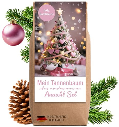 Little Plants Kit de culture pour sapin de Noël - Remplissage de calendrier de l'Avent - Cadeau de lutin - Sapin de Noël dans une boîte - Calendrier de l'Avent à remplir - Set cadeau (variante 6)