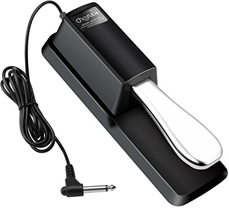 Universal Sustain Damper Pedal for Keyboard & Digital Piano, 1.8m Cable with 1/4” Jack Plug, Compatible with Yamaha, Casio, Roland, Korg, Behringer, Moog