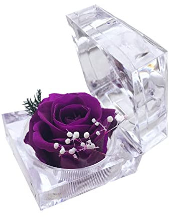 DoraMagic Preserved Rose Real Forever Rose in Mini Clear Ring Box, Eternal Flower Rose Gifts for Women Mom Girlfriend Grandma, Mothers Day, Anniversary, Valentines, Christmas, Birthday (Purple)