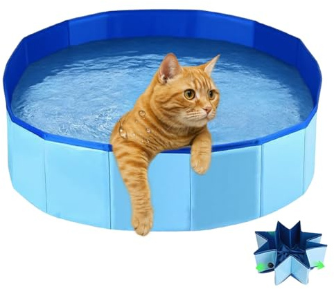 JUGUTA Piscina Gatti Piccolo, 30×10Cm Piscinas Per Gatto Gioco, Blu Piscina Per Cani Piccoli, Mini Piscinas Gattis Per Fare Il Bagno E Giocare, Piscina Gatti Pieghevole Per Gioco