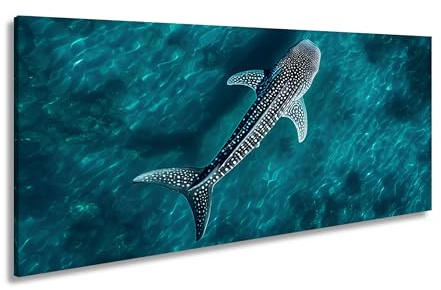 Leinwandbild Walhai schwebt majestätisch im klaren, türkisfarbenen Wasser Panorama 80x40cm XXL Kunstdruck Bild auf Keilrahmen/Wandbild/Wohnzimmer Dekoration