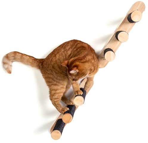 RHRQuality Wandmöbel Kletterwand Katze – Leiter-Set 2-teilig – Tragkraft bis 20 kg – Für große Katzen – Blackline