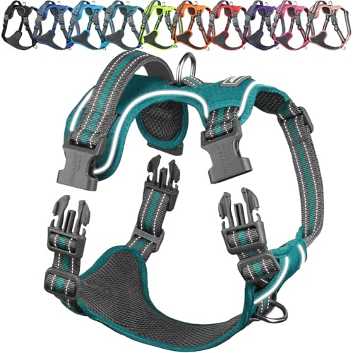 VIVAGLORY Anti Zieh Geschirr für Hunde Hundegeschirr, S, Petrol, A | Antizuggeschirr mit Gepolstert Griff & Brustring, Anti Zieh Mitwachsend Ausbruchsicher & Reflektierend für Welpe Hund