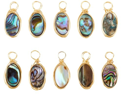 HOBBIESAY 10 Stück Natürliche Abalone Muschel Charms Paua Muschel Anhänger Muschel Anhänger Mit Kupferdraht Umwickelt 18 Karat Vergoldet Bunte Ovale Charms Für Die Schmuckherstellung