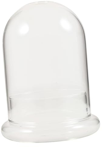 Veemoon Vaso Terrario in Vetro Trasparente con Cupola Campana Bottiglia Ecologica da Tavolo per Micro Paesaggi e Piante Vere Decorazione Interna per Ufficio e Casa