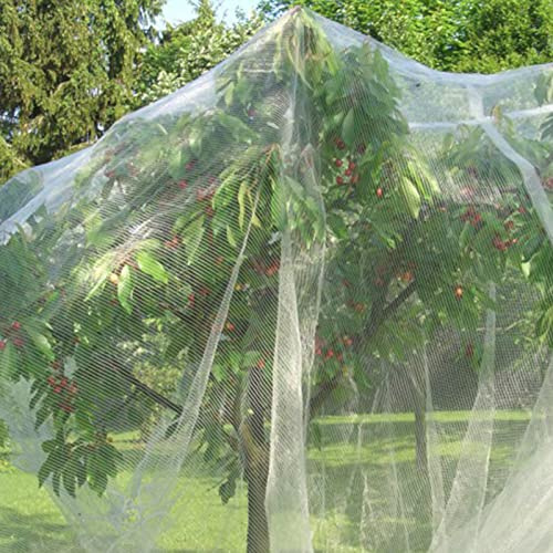 Proteggi Alberi da Frutto Rete a Rete con Coulisse, Rete Anti-uccelli Rete a Rete per la Protezione del Giardino per Alberi da Frutto Copertura per Rete per Alberi da Frutto per la(4 pezzi bianchi)