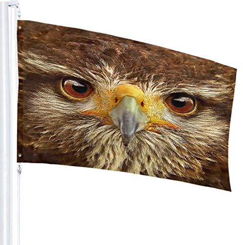Bandera de halcón, 4x6 pies, naturaleza, Animal, pájaro, pluma marrón, pico, ojos, banderas para exteriores, grandes carteles de bienvenida para patio, decoración de césped y jardín para el hogar