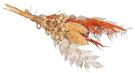 Rayher bouquet de fleurs séchées p. arrangements floraux 18-20 cm 1pce, 85491210