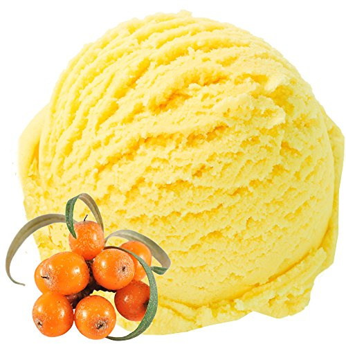 Sanddorn Geschmack 1 Kg Gino Gelati Eispulver für Milcheis Softeispulver Speiseeispulver