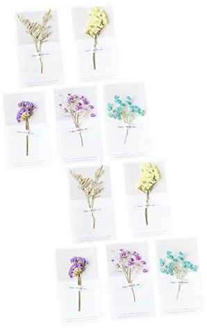 STOBOK 2sets Einzigartige Getrocknete Geburtstag Karten Party Einladungen Babysbreath 10 Stücke * 2