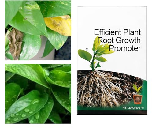 Polvere per Radicazione,Fertilizzante Concentrato di Nutrienti - Stimolatore Di Crescita Radicale Polvere - Per Piante Da Appartamento Fiori Alberi Terriccio Compost Giardino E Serra