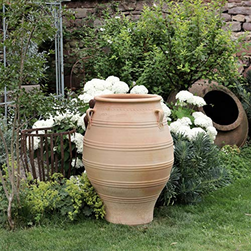 Palatina verkstad terracotta amfore stor tymus 100 cm – unik tillverkad i 100 % handgjord – den perfekta vintersäkra planteringskrukan för trädgård och inomhusbruk
