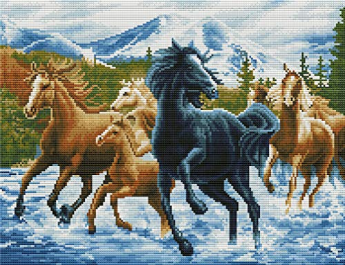 Abillyn Stickerei-Set, Motiv: laufende Pferde am Fluss, mit gedrucktem Muster, Starter-Set (Pferd)
