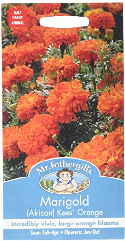 Mr. Fothergill's Marigold African Kees Orange Flower Seeds