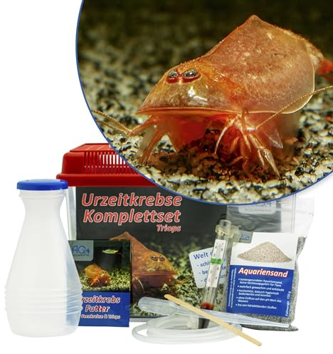 Triops cancriformis var. Beni Kabuto Ebi Komplettset 2,5 l, Urzeitkrebse | Ca. 100 Urzeitkrebs-Eier, 2,5 l Aquarium, Zubehör, Futter und Anleitung; Starter-Set ideal für Einsteiger, Triops züchten,