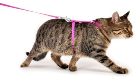 Karlie Art Sportiv Plus - Katzengeschirre - Mit Leine - Nylon - Rosa - 110 cm