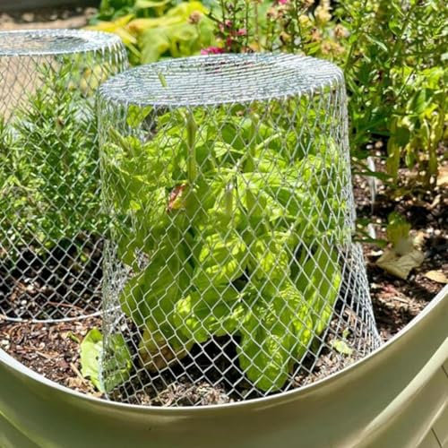 FACAIIO Gartenpflanzen-Cloches Pflanzenschutzkorb, 10er-Pack, Eisenkunst, Gartenabdeckung, Gemüse-Schädlingsbekämpfung, Schild, 23 x 23 cm (weiß)