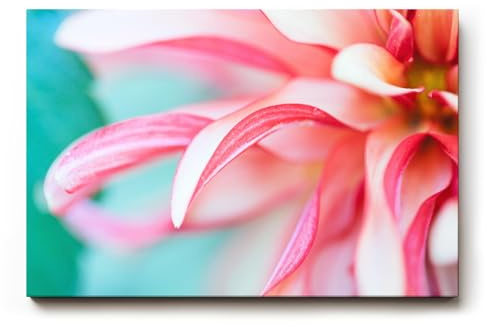 Sinus Art Tableau mural 60 x 40 cm Gros plan détaillé d'un dahlia rose avec pétales incurvés