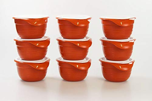 TUPPERWARE Bol batteur mélangeur 650 ml terre cuite (9)