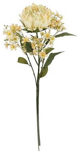 Kunstblumen Protea Blütenzweig 2er Set 70 cm Seidenblume Stielblumen-Sortiment künstliche Einzelblumen wie echt für Vase Einzelzweig einzelner herbstlich Blume Herbst-Deko Herbstblume Dekoblume, creme