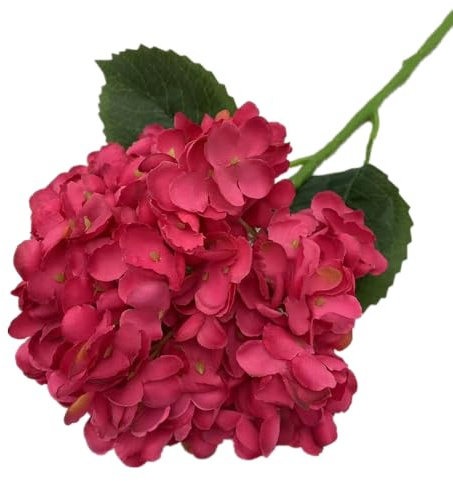 forestmistry 5pcs Artificial 256 Petals Large Hortensia Branch 20cm Heads Silk Hydrangea Flower (rose red)