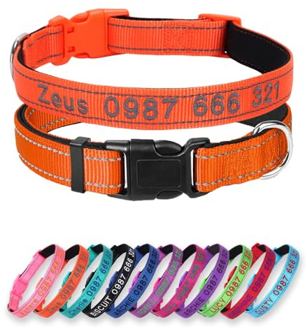 Personalisierter Hundehalsband mit Neopren‑Polsterung,Bestickt,Orange | Individuell bestickter Name Schnellverschluss‑Schnalle, atmungsfestes robustes Nylon, verstellbar für alle Hundegrößen