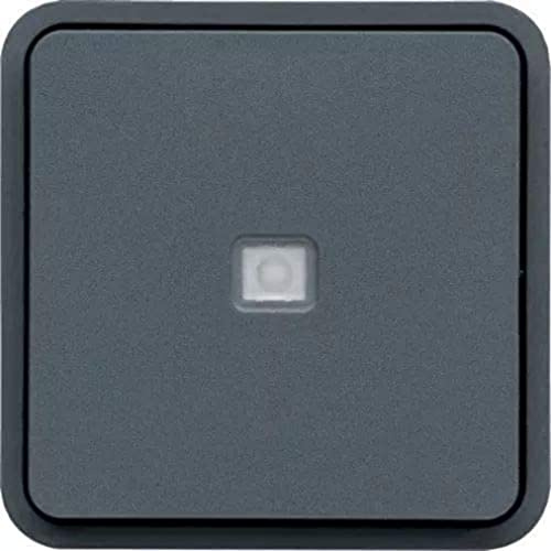 Pulsador con indicador luminoso, gris