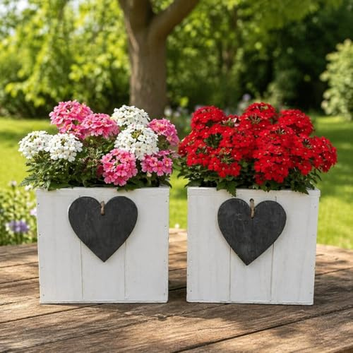 2 Blumentöpfe mit Herz aus Holz im Set - Liebevoller Blumentopf, Blumenkasten - Weiß, Grau (Weiß P44)