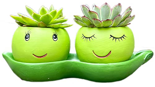 Darthome Two Peas In A Pod Succulent Planter Green Cement His Her Novelty Pot Holder Gift