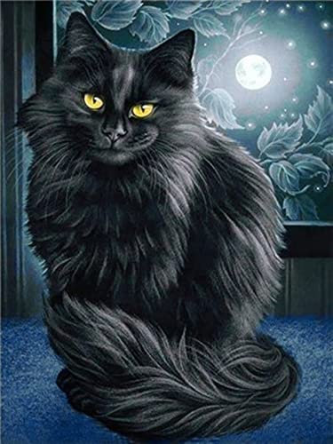 YJPZZG 5000 Bunte Puzzleteile Katze UnmöGliche Puzzles, Bunte Puzzles, Geschicklichkeitsspiele FüR Die Ganze Familie Fertige Größe 156.5×105.5cm