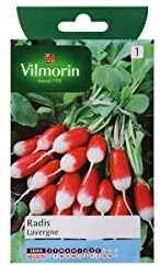 Vilmorin - Sachet graines Radis Lavergne