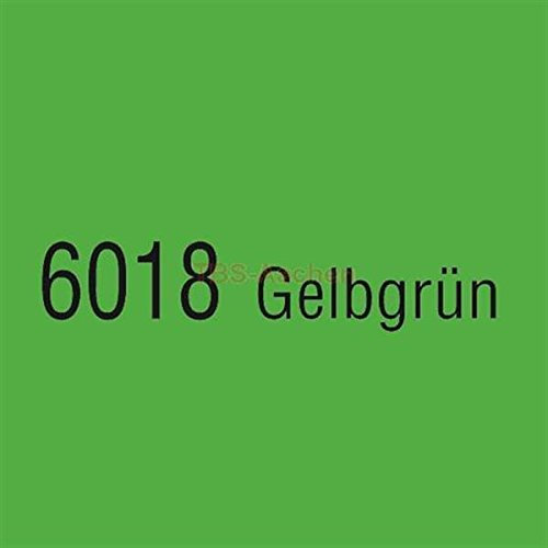 Branths Robust-Lack 5 l Dose 6018 Gelbgrün (23,99 EUR/l)