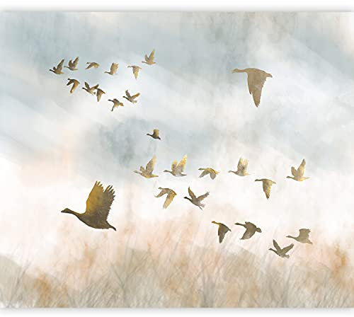 murando Fotomurales Parajo 300x210 cm XXL Papel pintado tejido no tejido Decoración de Pared decorativos Murales moderna Diseno Fotográfico Naturaleza Como Pintado Niebla g-A-0350-a-a