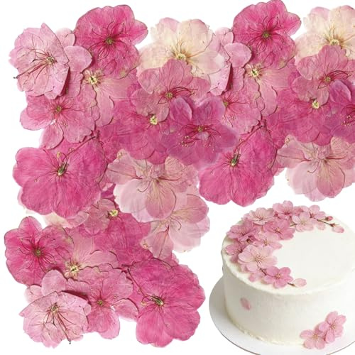 Floruvia 40 Stück 2 Arten Natürliche Gepresste Blumen, Kuchen Dekoration - Sakura, Kirschblüten Für Cupcake Toppers, Cocktails, Harzschmuck, DIY Bastelprojekte