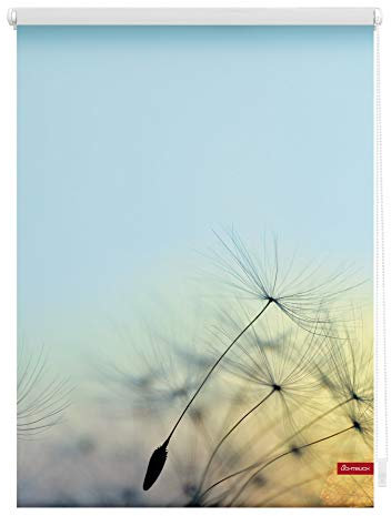 Lichtblick Klemmfix Tageslicht-Rollo mit Motiv, ohne Bohren, Blickdicht, Seitenzugrollo, Made in Germany, Pusteblume - Blau 100 x 150 cm (B x L)