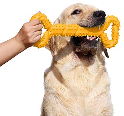 atopo Duros Juguetes morder para Perros, 13 Pulgada Goma Juguete Forma de Hueso con Superficie Convexa Resistente Juguetes interactivos para Cachorro de Perros pequeños medianos y Grandes