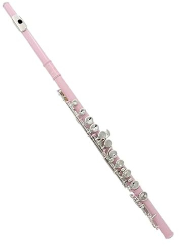 Professionelle Querflöte 16 Geschlossene, Offene Löcher, C-Taste, Querflöte, Konzertinstrument Mit Zubehör Für Studenten (Color : Pink)