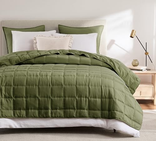R.SHARE Tagesdecke 300x270 Grün, Weich Bettüberwurf Steppdecke aus Mikrofaser für Bett Sofa Couch (ohne Kissenbezug), Kariert Kuscheldecke Wohndecke Sofaüberwurfdecke Oeko-TEX Frühling Sommer